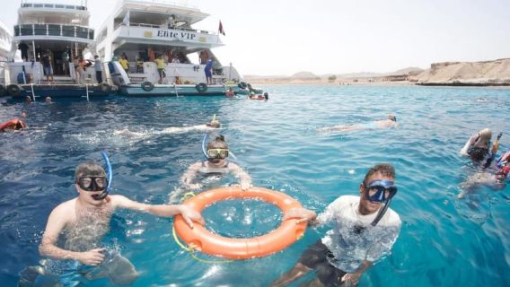 From Sharm: Half-day Snorkeling Trip with Lunch