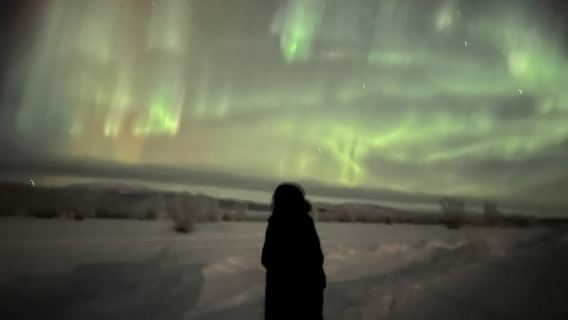 From Kiruna: Abisko National Park Northern Lights Tour