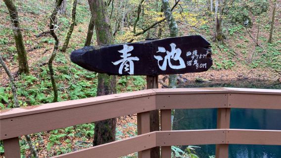 Privatbil tilpasset dine behov i Aomori, Japan | Oirase-bækken + Hakkoda-bjergene + Sukayu Onsen | Fleksibel rute