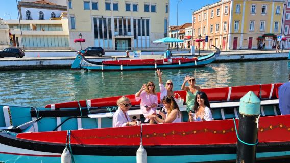 Depuis Porto : Aveiro et Costa Nova en petit groupe avec croisière en bateau