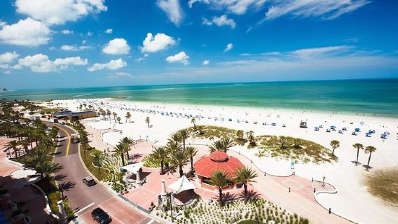ทัวร์ชมโลมา Clearwater Beach แบบกลุ่มเล็กจากออร์แลนโด