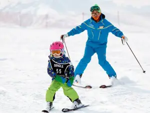 Snow or Ski Day Trip to Elysian Ski Resort from Seoul - No shopping