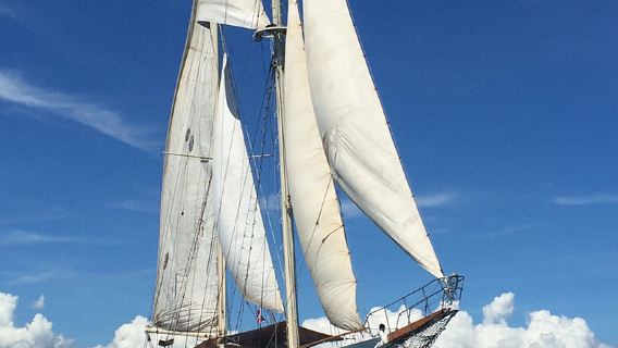 Fiji Nadi Captain Cook Sunset Dinner Cruise + afternoon tea+ Heart-Shaped Island one-day tour