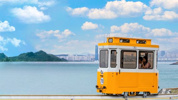 Busan One Day City Tour with Blueline Park Sky Capsule (Oryukdo Skywalk + Huinnyeoul Culture Village + Gamcheon Culture Village)