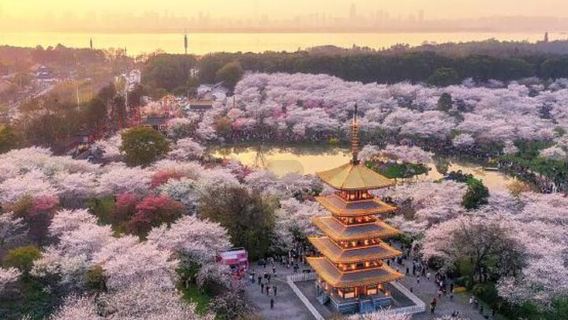 WuhanExperiences