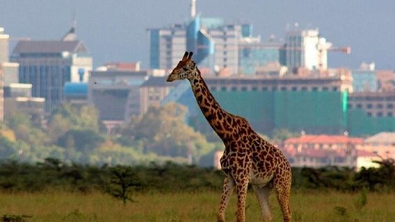 NairobiTours
