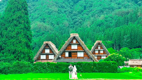 下呂市日遊