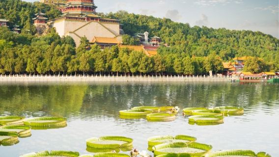 Grande Muraille de Mutianyu à Pékin + Excursion à la journée au Palais d'Été