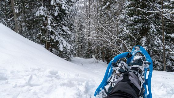 ความลับที่ปกคลุมไปด้วยหิมะ: เดินป่าในทะเลสาบน้ำแข็ง Prokoško ที่ถูกทิ้งร้างในฤดูหนาว