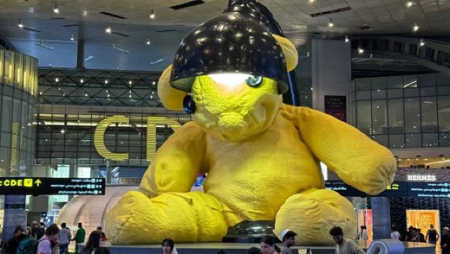 DOH Doha Hamad International Airport VIP Lounge Pass I Transit Lounge I Overnight Layover with Dining and Shower