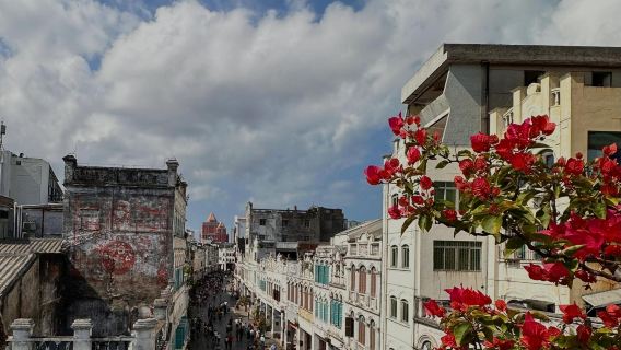 Haikou Clock Tower + Swan Lake Animal Park + World Park + Sotte Porticos Streets Maikou 1-day tour with English service available