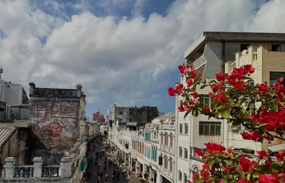 海口鐘樓+天鵝湖動物基地+世界公園+騎樓老街一日遊中英文服務