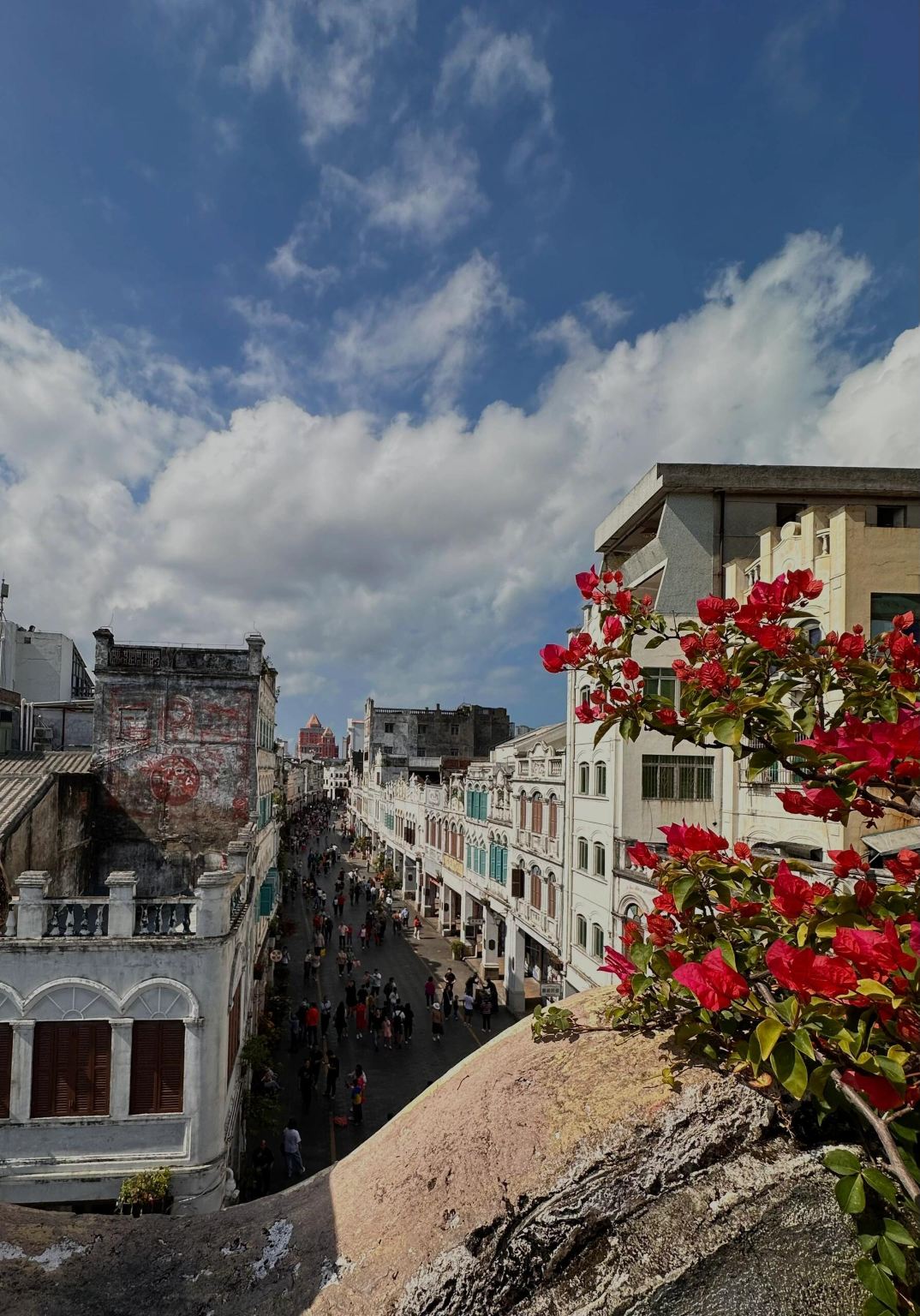 1-Day Tour of Haikou Clock Tower + Swan Lake Animal Park + World Park + Sotte Porticos Streets Maikou (Bilingual Service in Chinese and English)