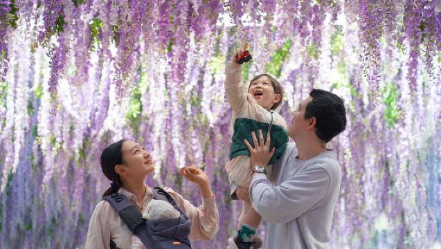 韓國京畿道|加平海棠鳥園X鐵道腳踏車X小法國X義大利村