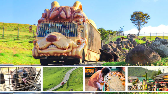 DazaifuTours