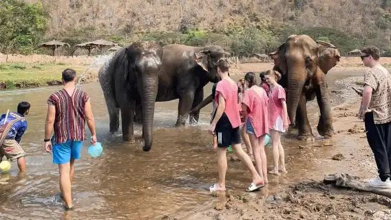 Secret Elephant Camp | Secret Elephan | Sticky Waterfall | Depart from Chiang Mai