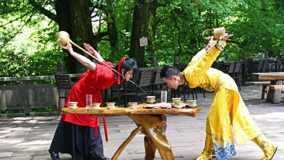 From Chengdu: Ya'an-Mengding Mountain + Bifengxia + Wildlife Park one-day tour C