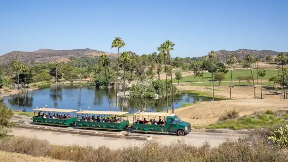 San Diego Zoo Safari Park: Entry Ticket