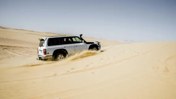 4x4 Desert Safari with Sandboarding & Camel Ride from Cairo or Giza