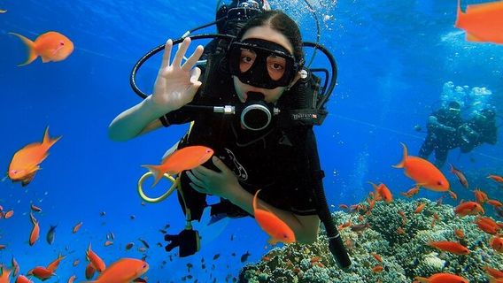 Sharm El Sheikh