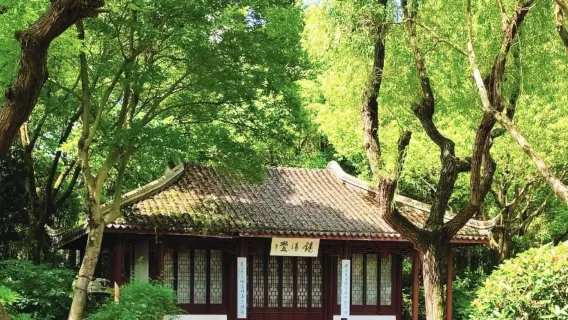 однодневный тур в водный город Чжуцзяцзяо ( из Шанхая) | гид на китайском, английском и других языках