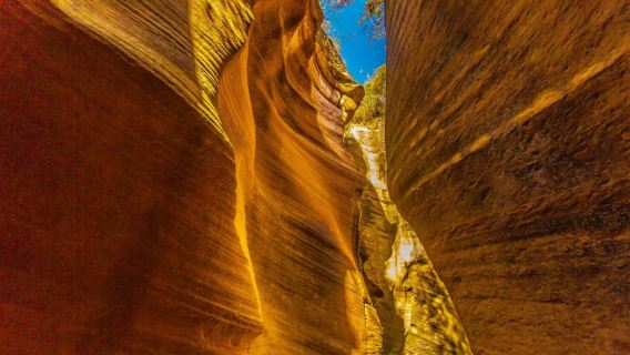 陝西延安+甘泉雨岔大峽谷一日遊（私家vip服務）
