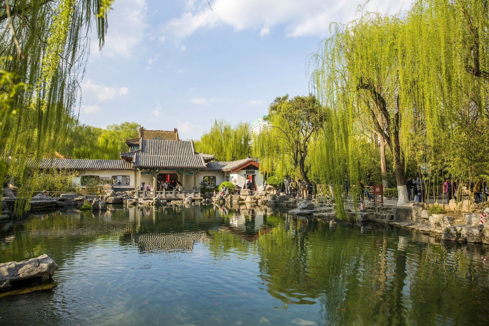 Jinan, Shandong Province|Translation/Guide/Local Guide - Citywalk|Attraction visits|English/Russian/French/Other Languages|Welcome to inquire
