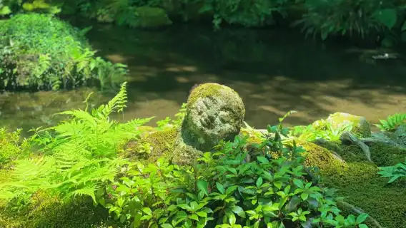 Trip.com ขอแนะนำ: Japan Arashiyama × Sanzen-in Temple รถไฟขนาดเล็กวิ่งผ่านโอซาก้าและเกียวโต