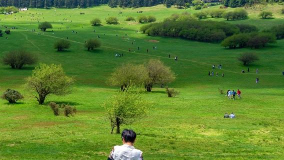 Однодневный тур в Вулуньский естественный Три моста и Национальный лесной парк Цуй-Хуань + входные билеты + транспорт по территории + услуги водителя