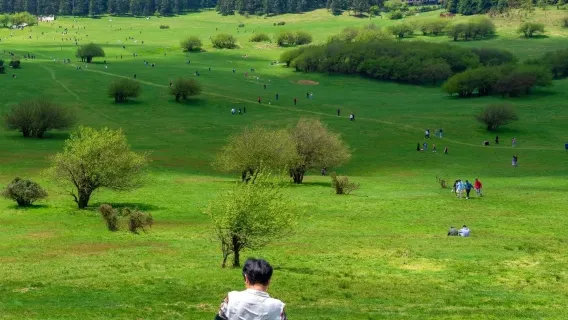 ○ Excursión de 1 día al Puente Natural de Tres Arcos de Wulong + Parque Forestal Nacional de la Montaña de las Hadas + Entradas + Transporte dentro del parque + Servicio de conductor