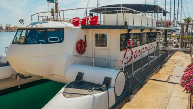 Valencia: Catamaran Cruise + Mussel & Wine Tasting