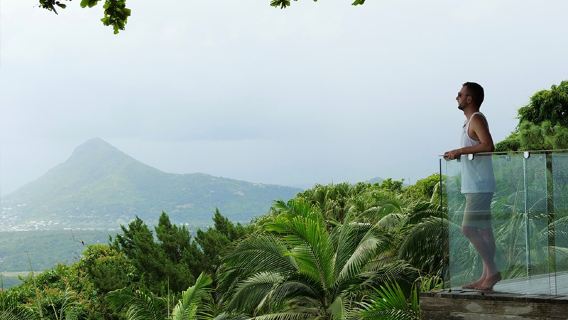 Mauritius West Coast Animal Adventure: Dolphin Watching, Bird Park, Chamarel Seven Colored Earth Geopark, and Mountain Top Restaurant