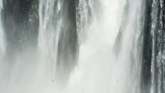 Halb-Tagesausflug zu den Quedas do Iguaçu und Macuco Safari Bootsfahrt in Brasilien