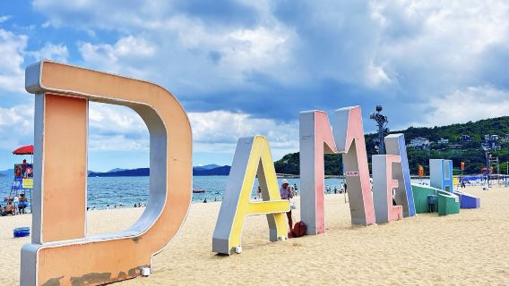 深圳全景+大梅沙+中英街+含地王觀光一日遊|私家團上門接駁