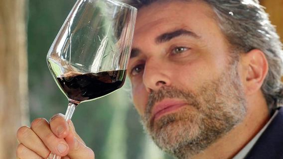 Bolgheri: Winery Tour with Wine Tasting