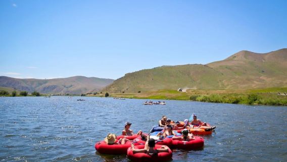 Bozeman: Excursión en tubo por el río Madison de 4-5 horas con traslado