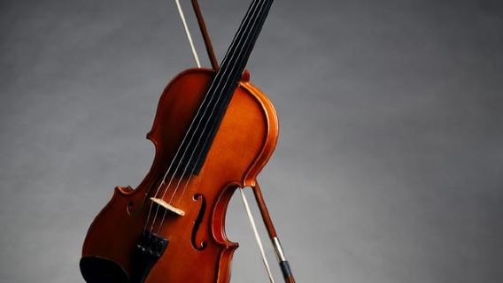 Akses Sore ke Galeri Accademia: David & Stradivarius