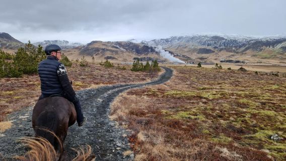 Hveragerdi: tour a cavallo di Reykjadalur (valle delle sorgenti termali).
