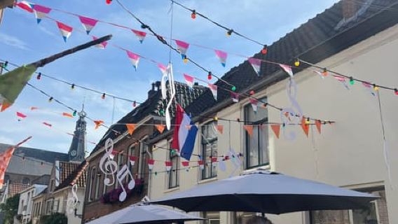 Weesp: Guided Walking Tour