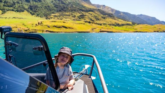 Lake Hāwea: 6 hour Fishing Adventure by Boat