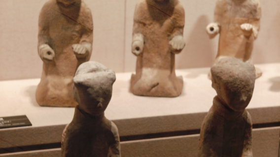 徐州博物館2H人員導覽橄欖遊● 資深大咖導遊精講 