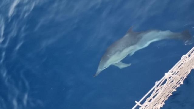 East Palermo: boat tour among caves and breathtaking landscapes