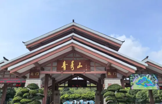 南寧1日遊【青秀山/雲頂觀光/百益上河城/民族博物館】純玩