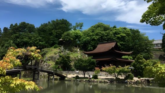 Japan Tagesausflug: Berg Tokkei, Tempel Eihō-ji, Ohara Shikizakura und Korankei|Hin- und Rückfahrt nach Nagoya