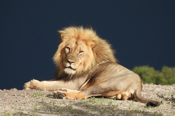 Chobe National Park Small Group Day Safari from Victoria Falls