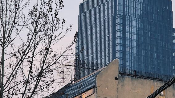 Однодневный тур в национальный лесной парк Хуанцанъюй в Суцяне, Аньхой, и гору Циньюньшань в Линби с возможностью обслуживания на английском языке