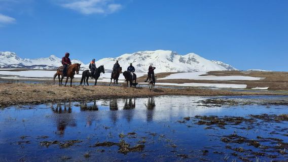 Tour a cavallo a Sinjajevina in Montenegro | Esplora la cultura degli alpeggi partendo dal maniero ecologico