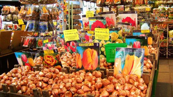 荷蘭阿姆斯特丹-德哈爾城堡+梵谷森林+極凍酒吧一日遊