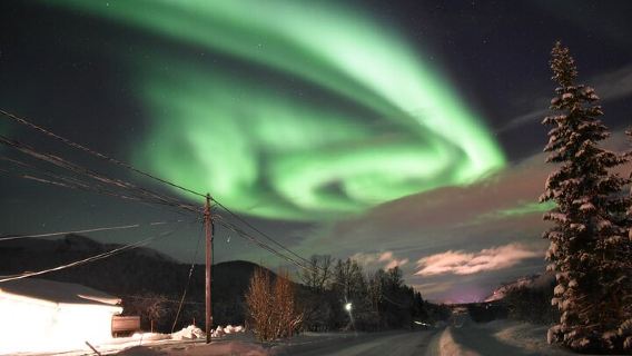 挪威純玩塞尼亞島/羅弗敦群島/極光2-8人小團中文司機共乘遊