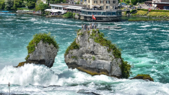 Zurich Suburbs Day Tour (Leisurely Nature + Cultural Experience Edition)